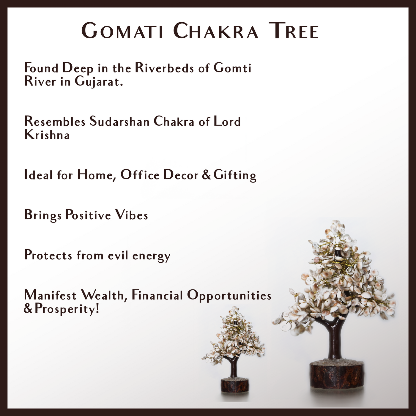Gomati Chakra Tree with Rudraksham